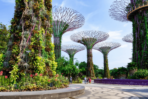 Circuit Singapour et Jasmin de Thaïlande en Privatif ** HAVAS ** - 17