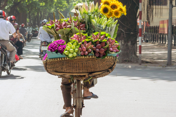 Vietnam - Circuit Les Mystères du Nord Vietnam : Authentique et Eco-responsable