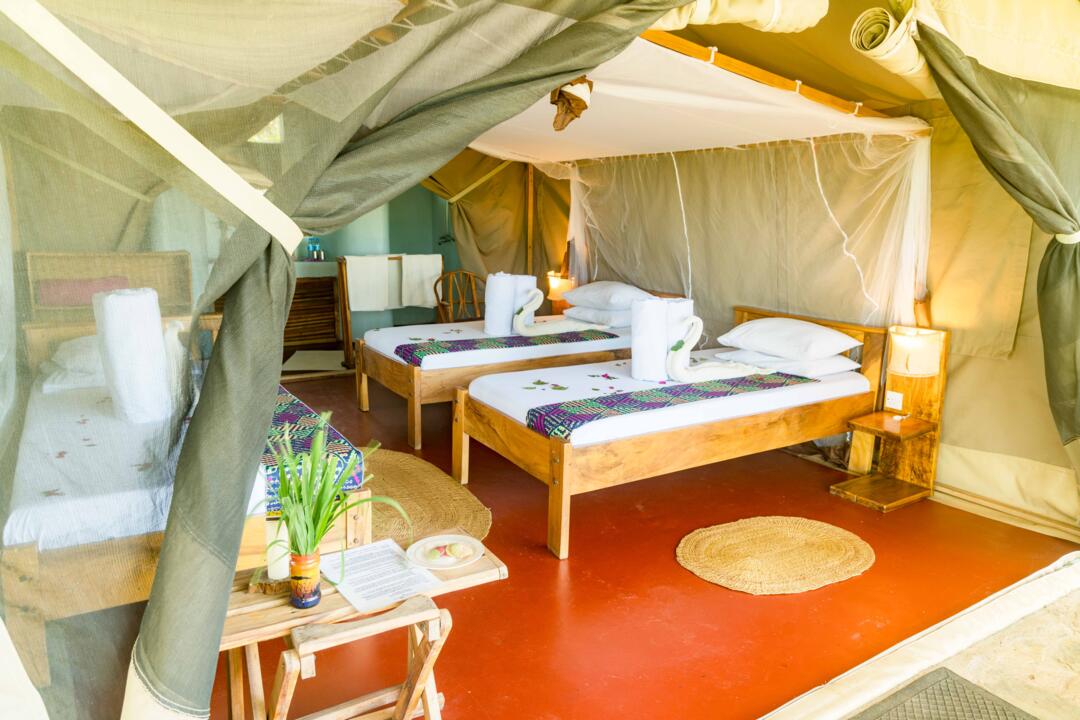 Safari Privatif - En Terre Sauvage - 32