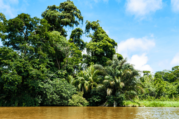 Circuit Le Costa Rica : Sérénité, Découverte et plage 3* - 5