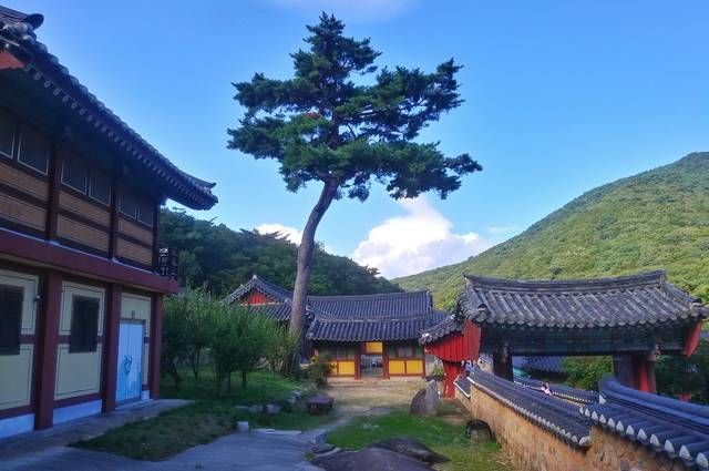 CIRCUIT K-POP ET TRADITIONS EN COREE ET IMMERSION SPIRITUELLE AU TEMPLE 3*