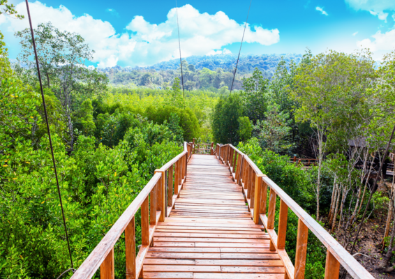 Circuit Privatif sur la Route du Sud de Bangkok à Phuket 4*, Circuit Thaïlande par Ôvoyages Circuit Privatif sur la Route du Sud de Bangkok à Phuket 4*, Circuit Thaïlande par Ôvoyages