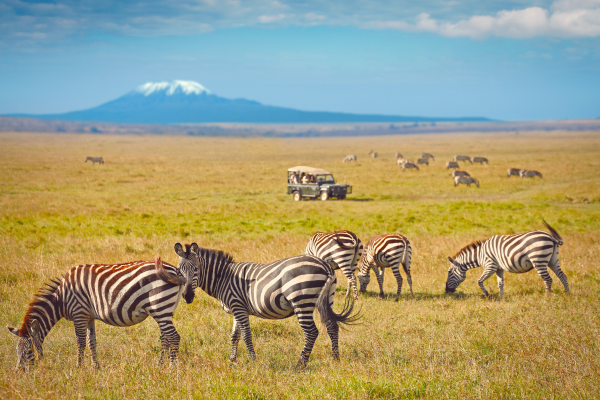 Combiné Kenya et Tanzanie, Du Joyau de l'Afrique aux Terres du Kilimandjaro **Version 2025**