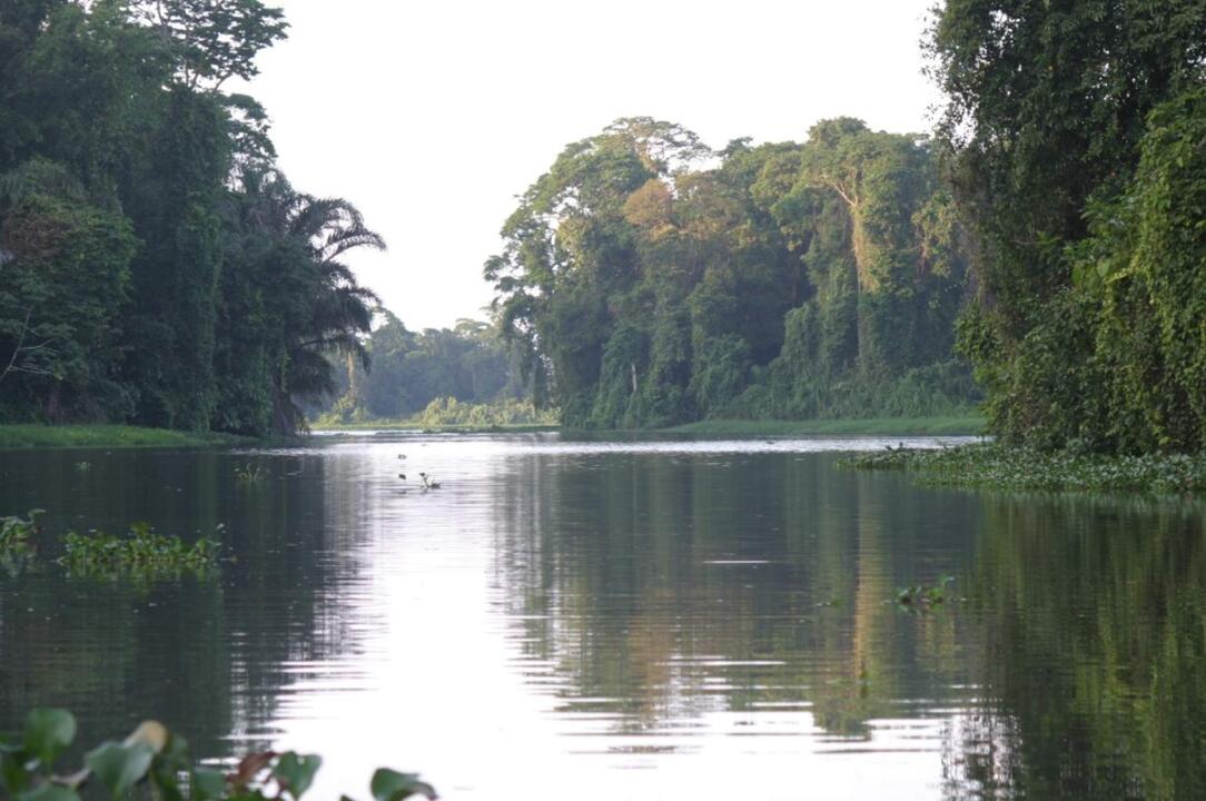 Costa Rica - Road Trip de Tortuguero aux Plages du Pacifique