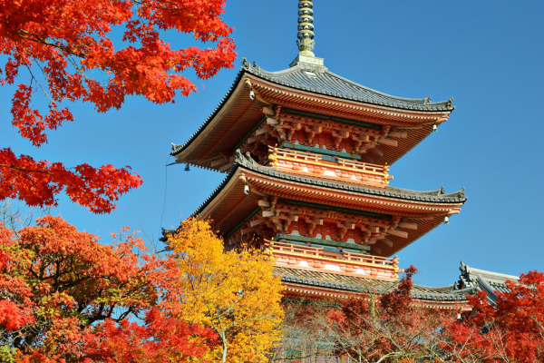 Image 24 du séjour Circuit Japon Eternel, Temples et Torii au Pays du Soleil Levant à Osaka, Japon