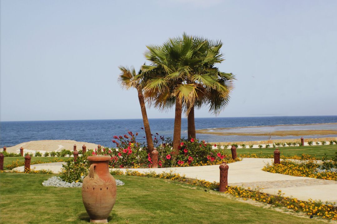 Egypte - Mer Rouge - Marsa Alam - Hôtel Concorde Moreen Beach resort & Spa 4*