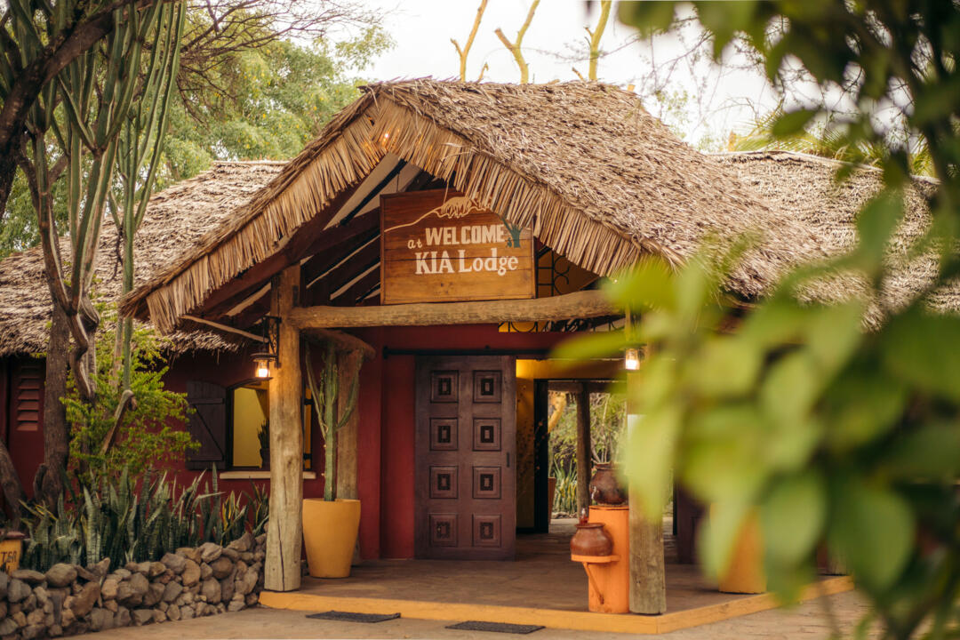 Safari Privatif - Aventure Tanzanienne - 10