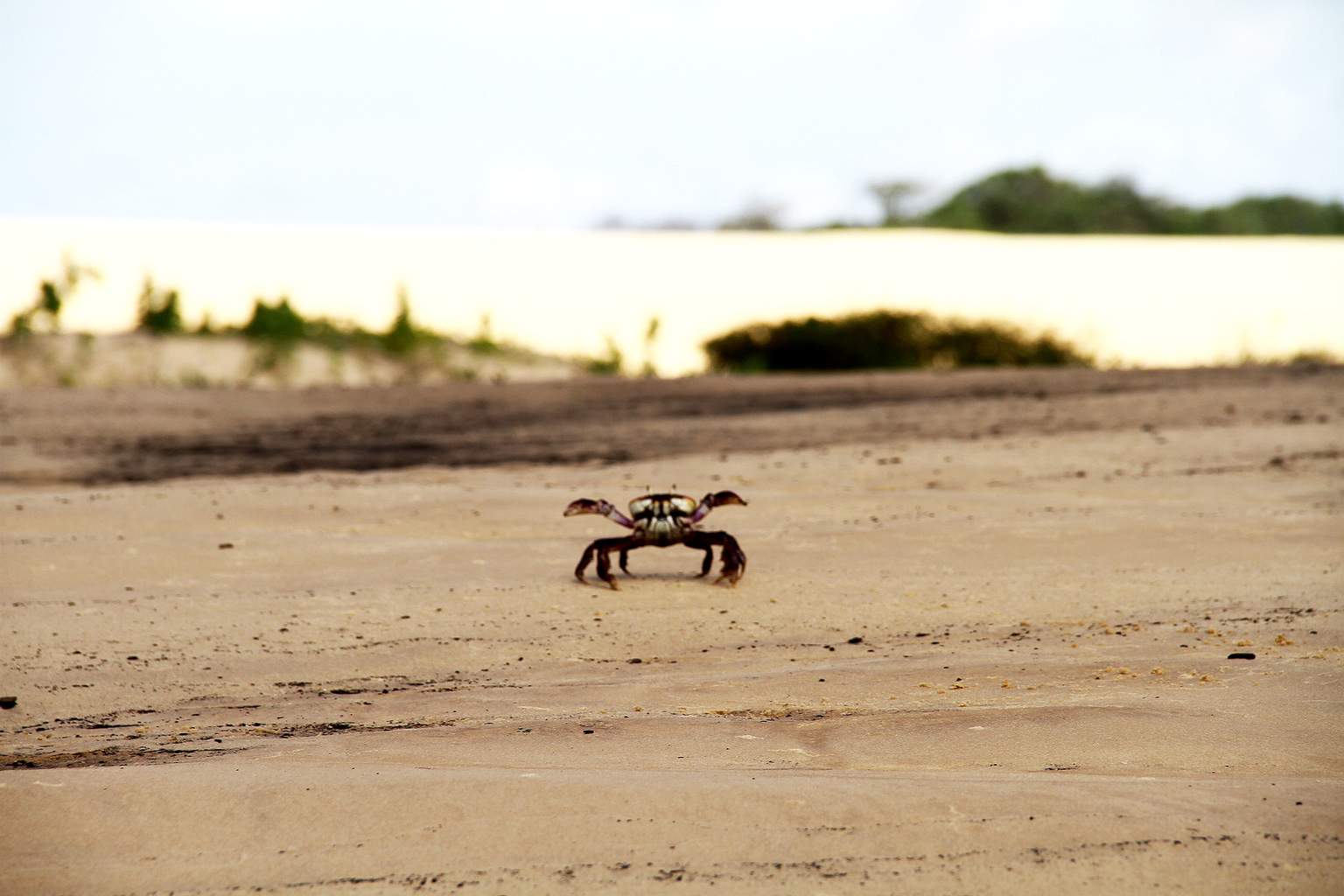 Circuit Privatif Rio & les Mystères du Nord-Est - 13
