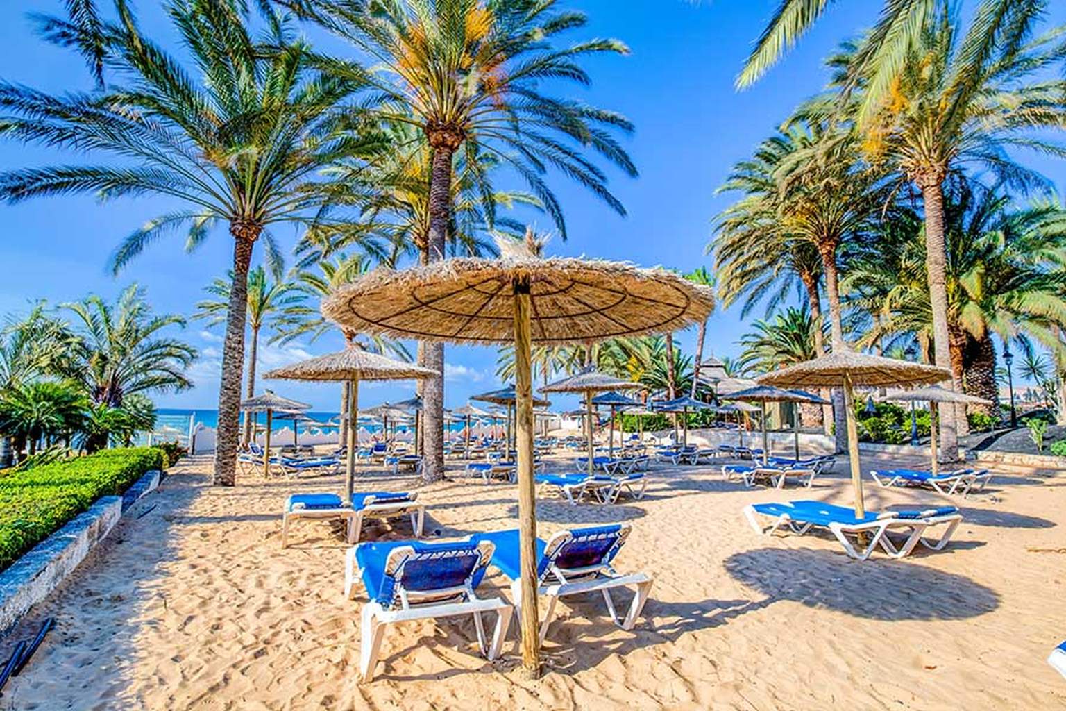 Hôtel SBH Costa Calma Beach Resort 4* - 10