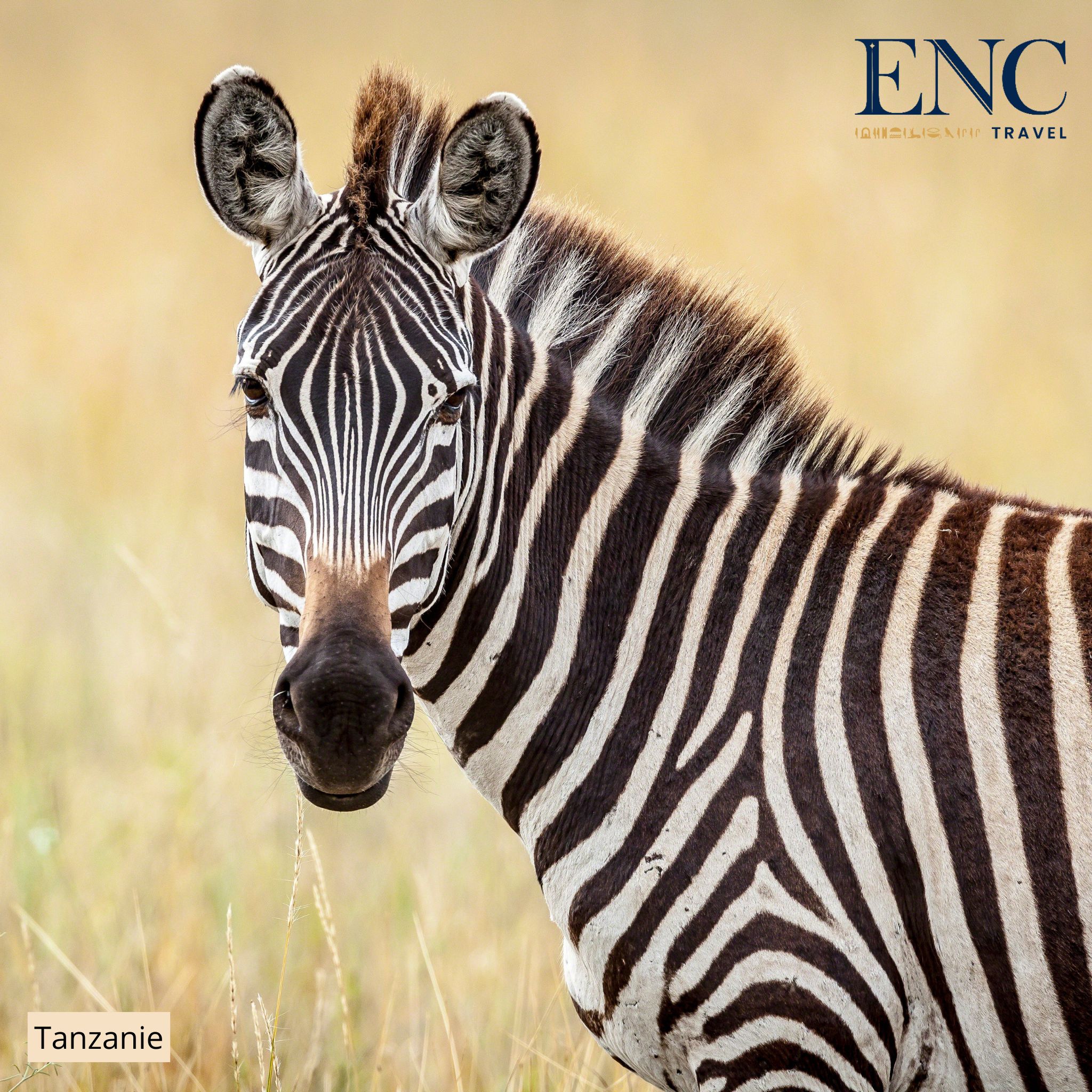 Photo Circuit ENC Travel