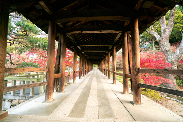Circuit Japon Ancestral, Immersion Zen & Temples de Shikoku, Circuit Japon par Ôvoyages Circuit Japon Ancestral, Immersion Zen & Temples de Shikoku, Circuit Japon par Ôvoyages