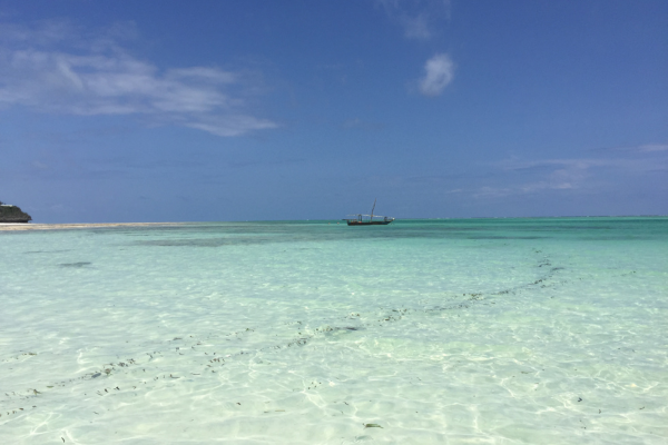 Circuit De la Savane Africaine à l'île aux Epices, plages de Pingwe - Privatif - 27