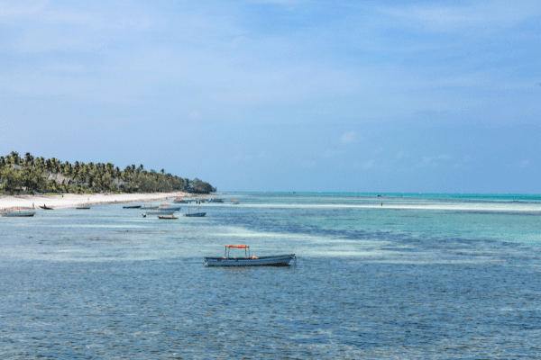 Tanzanie - Circuit De la Savane Africaine à l'île aux Epices, plages de Pingwe - Privatif