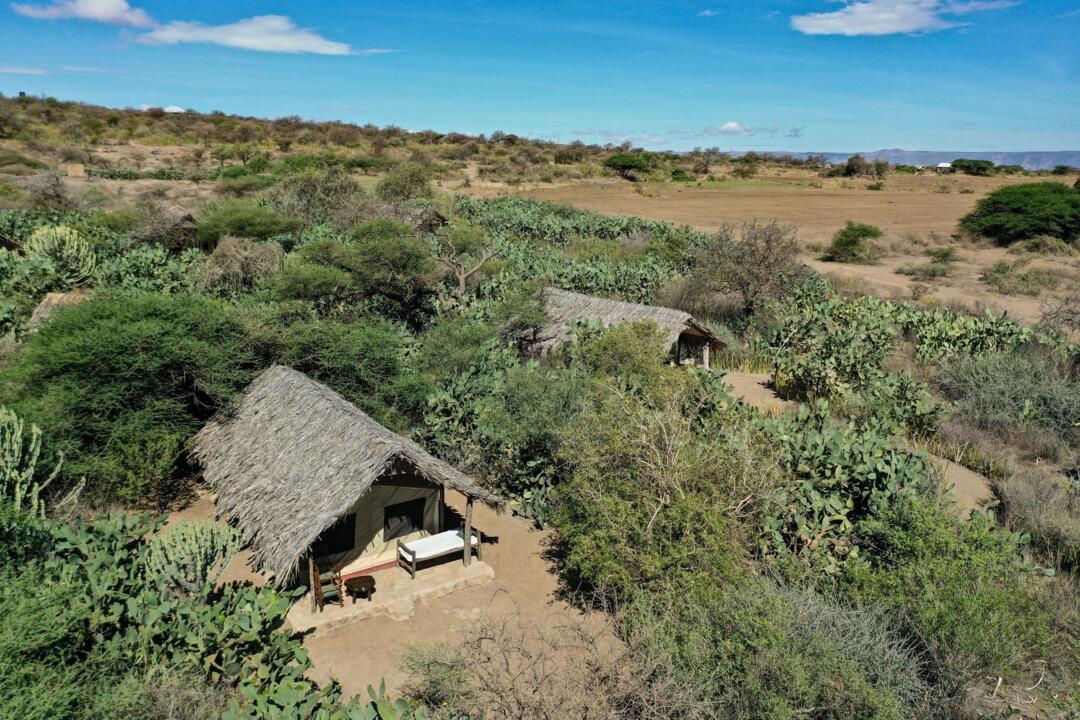 Safari Privatif - Aventure Tanzanienne - 37