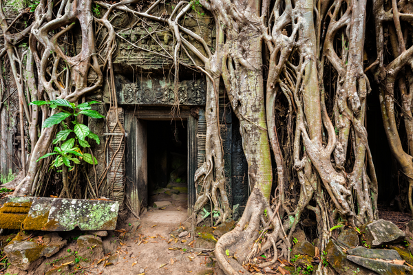 Cambodge - Thaïlande - Circuit Thaïlande Insolite aux Temples d'Angkor