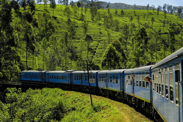 Circuit Merveilles Du Sri Lanka 3* En Privatif