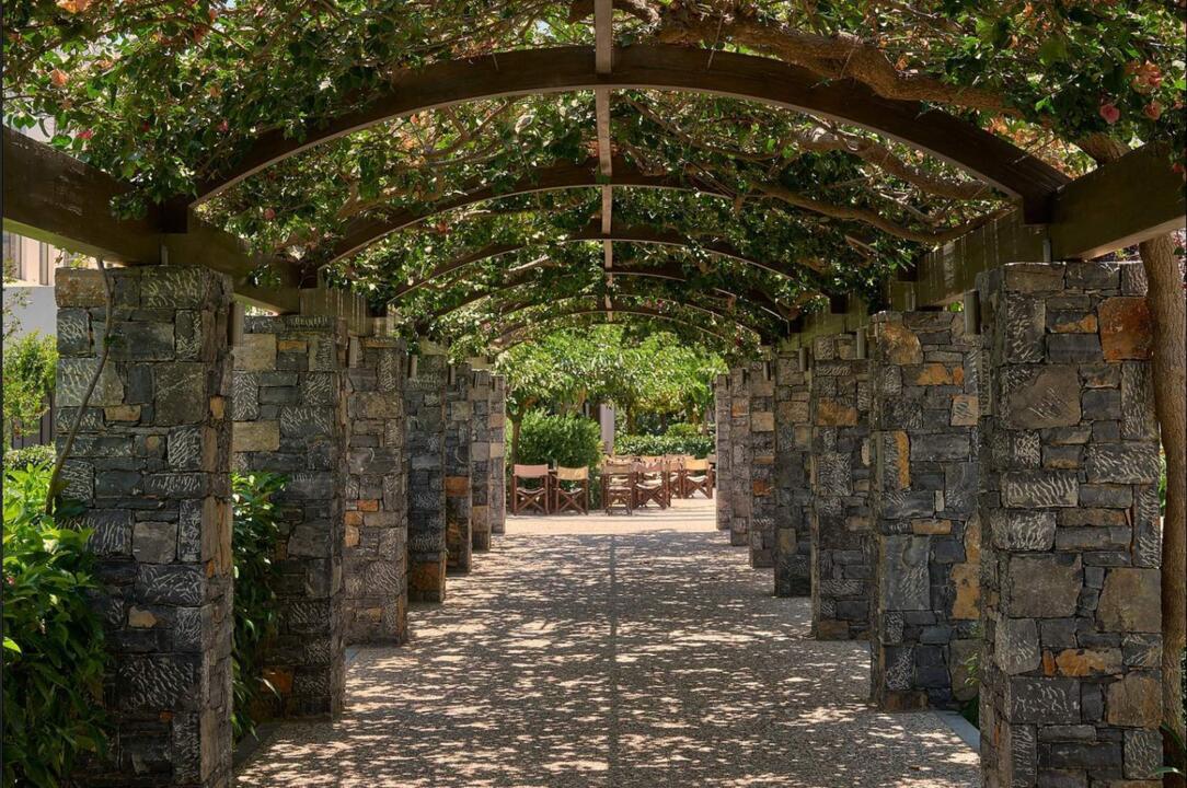 Mon French Club Atlantica Akti Zeus 4* - 21