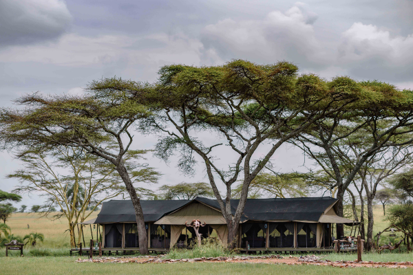 Tanzanie - Circuit Terres Sauvages de Tanzanie en Lodges Charme & Luxe - WellWorth *Collection Prestige*