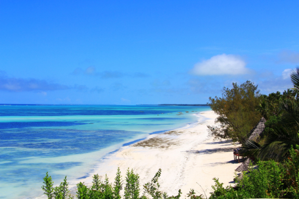Circuit Des Charmes de la Savane Africaine à l'île aux Epices, plages de Kiwengwa en Privatif - 7