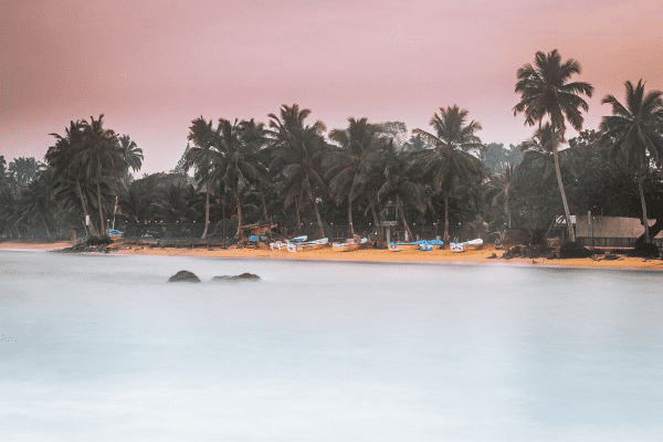 Circuit Des Merveilles du Sri Lanka 3* à la plage de Beruwela 3* Sup en Privatif - 14