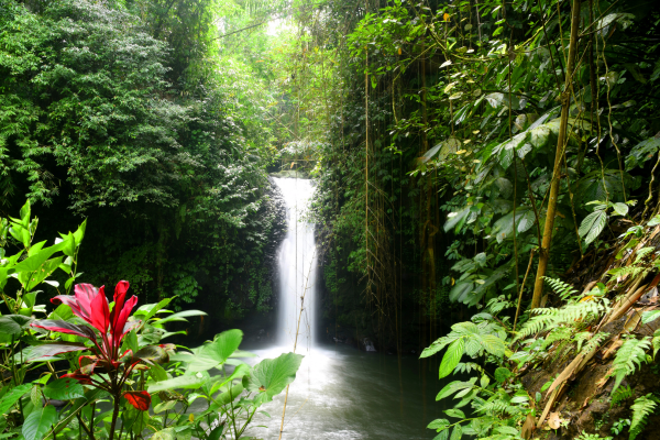 Combiné Jungle, Cascades et Sable de Bali - 6