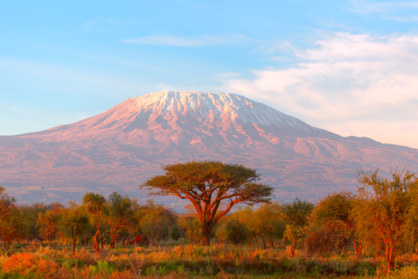 Kenya - Tanzanie - Combiné Kenya & Tanzanie, Du Joyau de l'Afrique aux Terres du Kilimandjaro