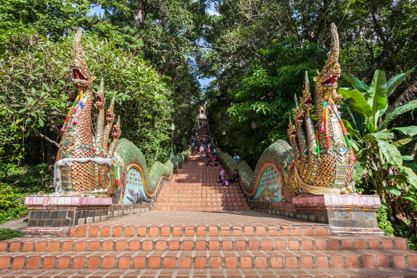 Circuit Lotus de Thaïlande et plage à Phuket 5* - 17