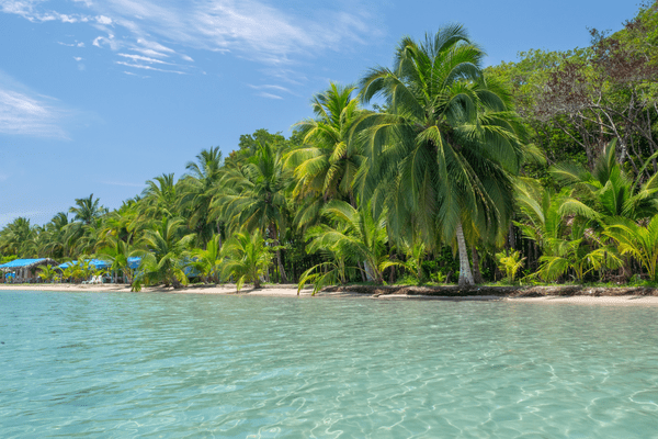 Circuit Dans le Sillage des Corsaires : De Panama à Bocas del Toro - 46