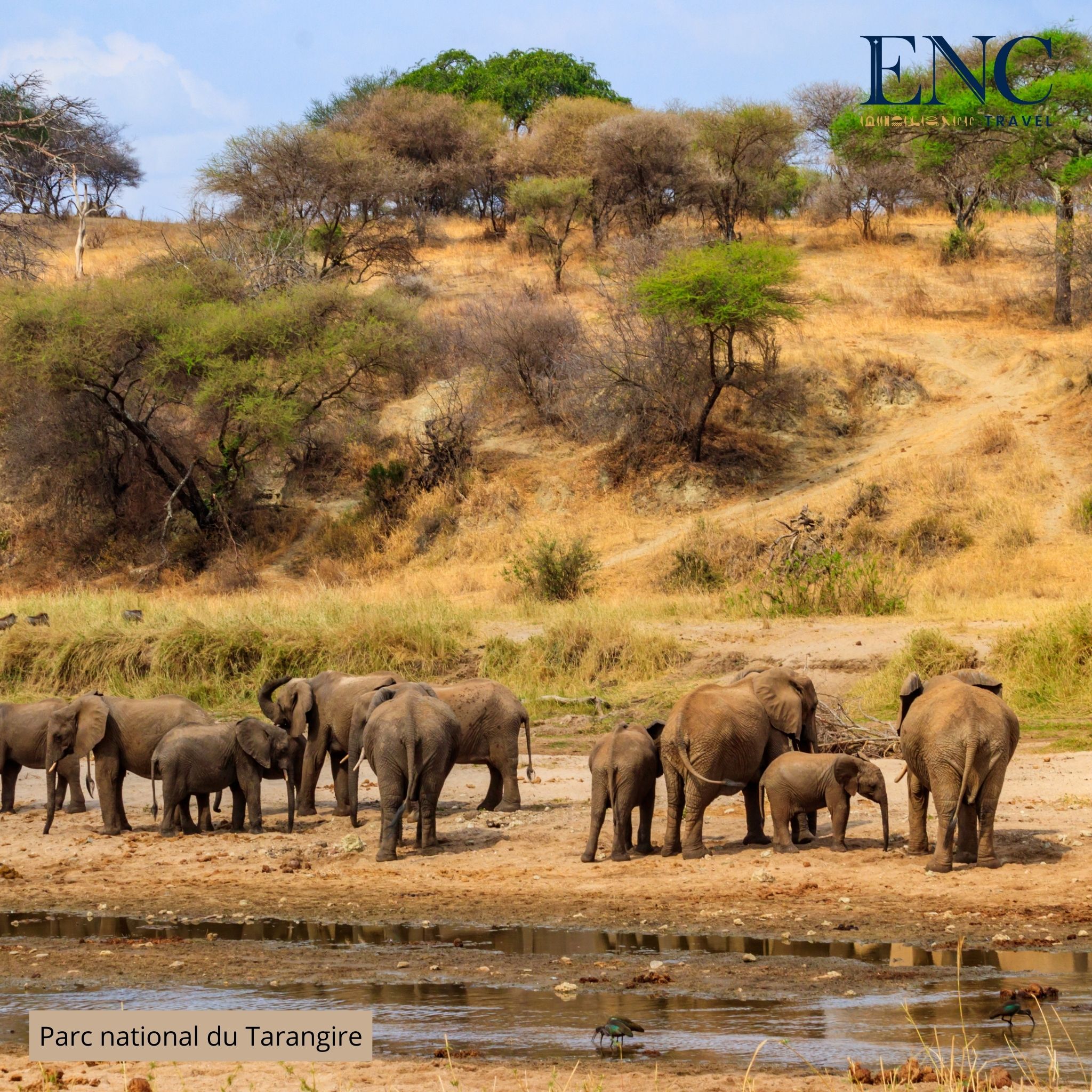 Photo Circuit ENC Travel