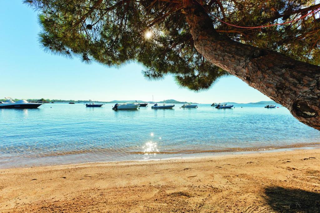 Photo Location OLLANDINI