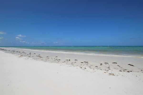 Hôtel Tanzanie à Zanzibar, circuit des ocres de tanzanie a zanzibar