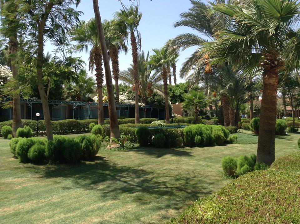 Egypte - Mer Rouge - Hurghada - Hôtel Giftun Azur Resort