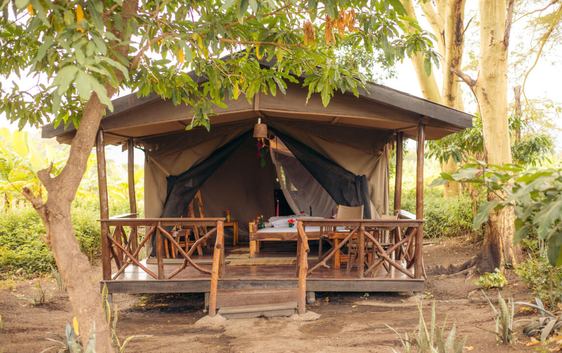 Safari Privatif - En Terre Sauvage - 19