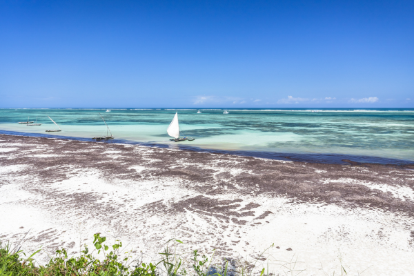 FLEX Soleil et Safari, Rivages enchanteurs et Vies Sauvages **tout compris** - 13