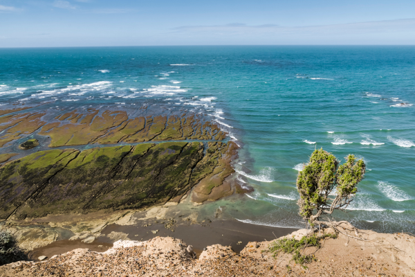 FLEX Circuit On dirait le Sud... Argentin ! - 27