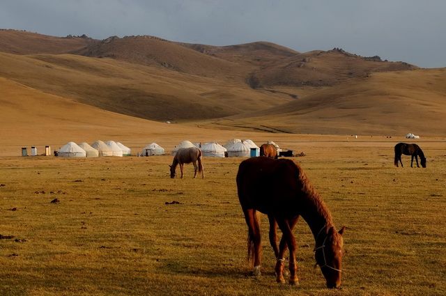 Kazakhstan - NOMAD'S LAND