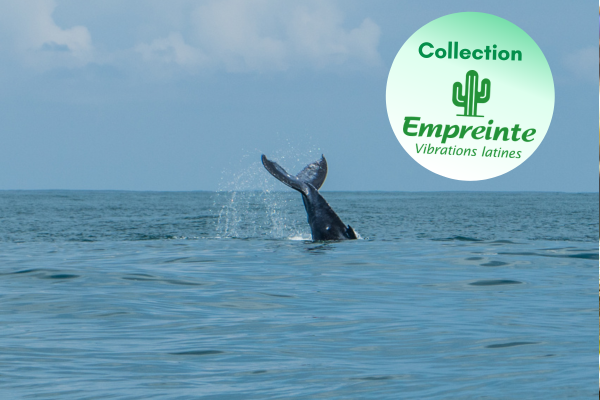 Autotour Les Secrets du Sud Costaricain + Vols Flex 3*