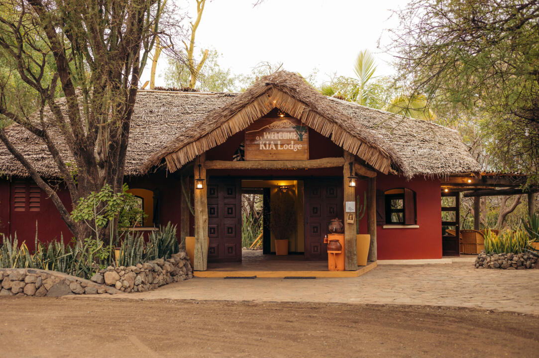 Safari Privatif - En Terre Sauvage - 16