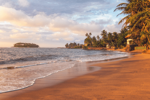 Circuit Sri Lanka Signature : Nature, Culture et Luxe - 15