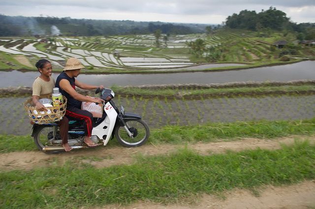 Indonésie - SEJOUR COMBINE BALI ET SUMBA