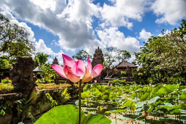 Bali - Indonésie - Combiné Jungle et Plage de Bali en Villas 4*