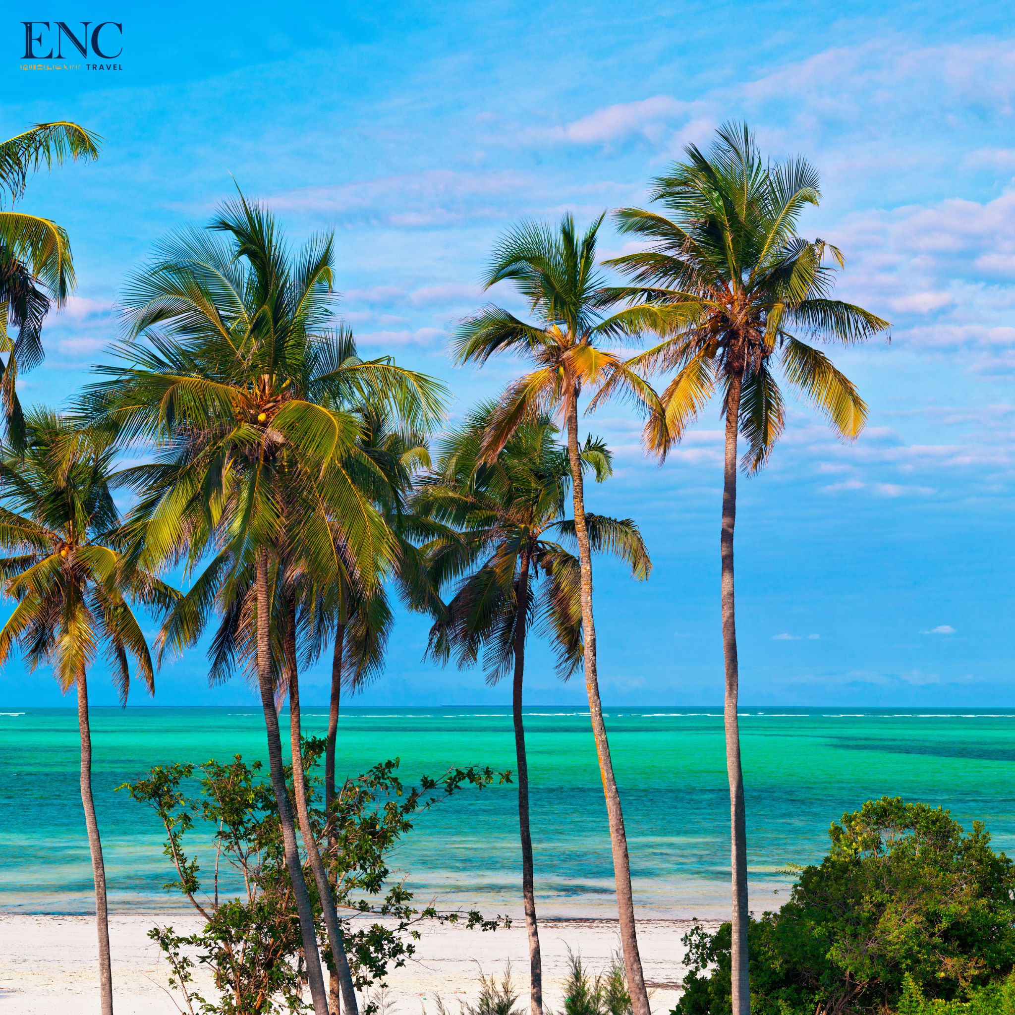 Photo Combiné ENC Travel