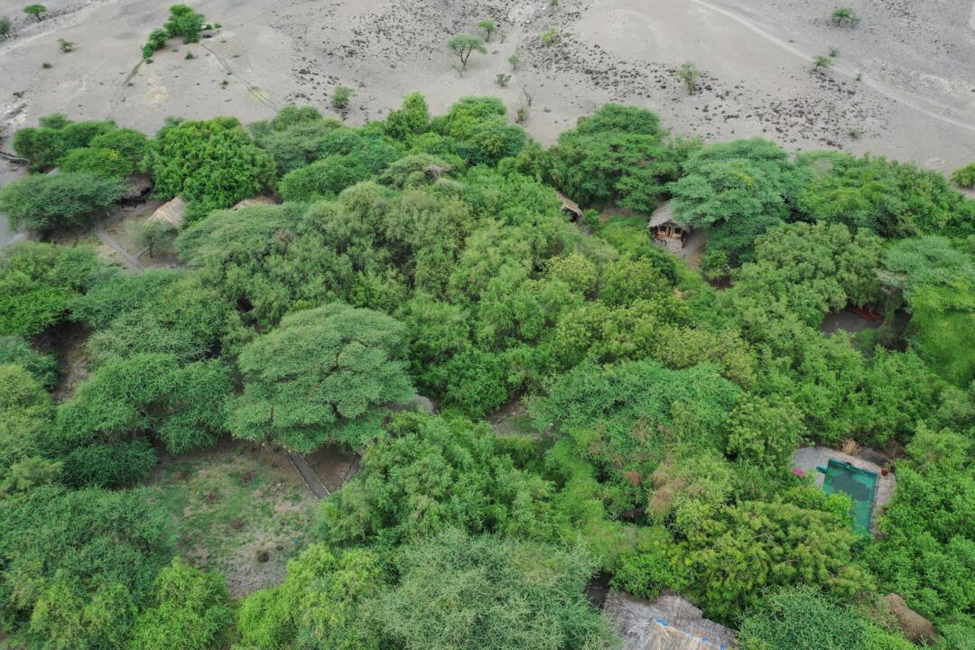 Safari Privatif - En Terre Sauvage - 30