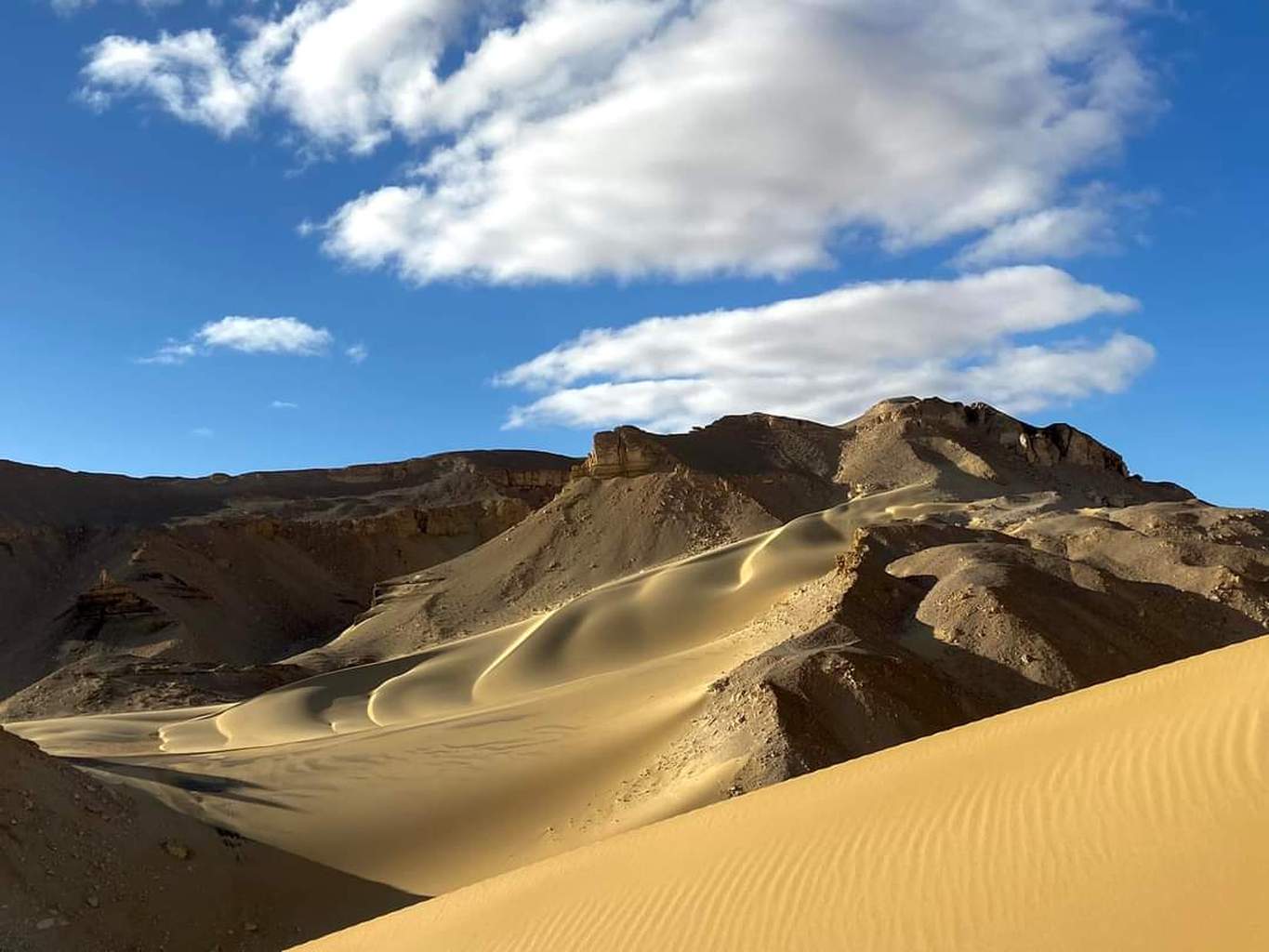 Le Caire, Le Désert Blanc et L'Oasis de Fayoum