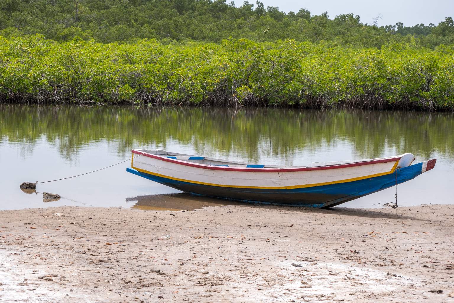 Mon Circuit Privé du Siné Saloum aux Plages de la Petite Côte - 5