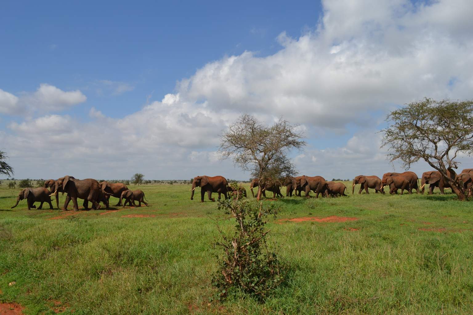 Mon Safari Joyaux du Kenya - 10