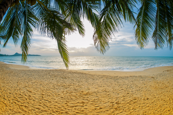 Circuit Thailande Circuit Temples et Soleil Sur l'île de Koh Samui 4* - Vols Flex
