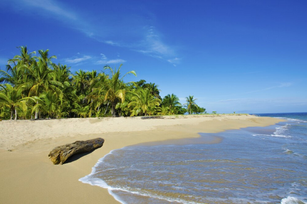 Circuit Costa Rica : Au Coeur des Volcans et des Plages du Pacifique - 34