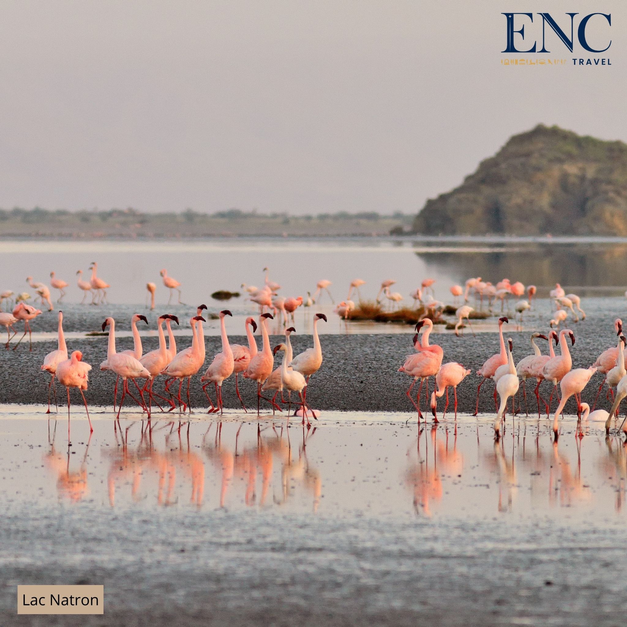 Photo Circuit ENC Travel