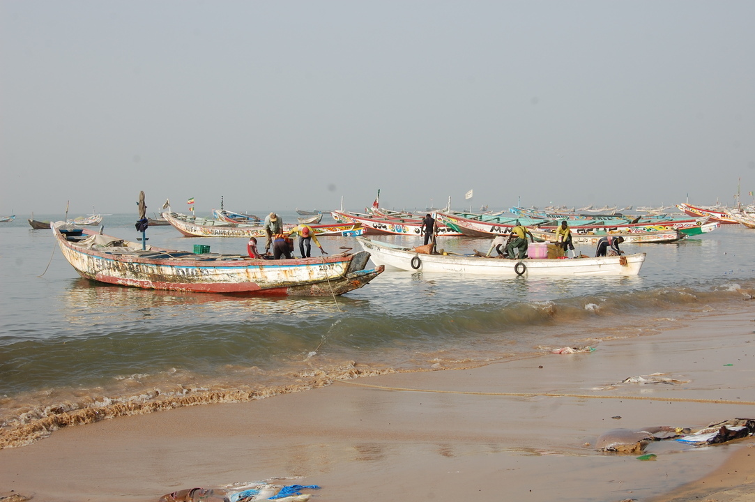 Sénégal - Circuit Privatif Du Siné Saloum aux Plages de la Petite Cote